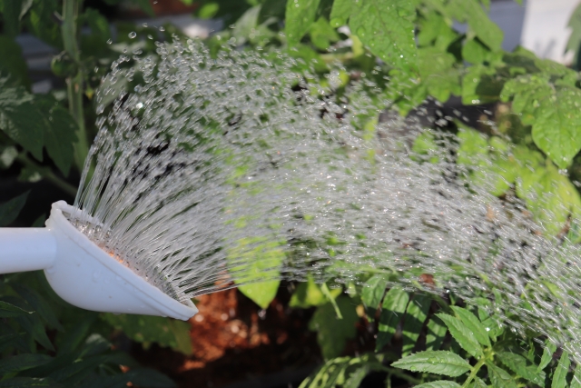 水やりのイメージ